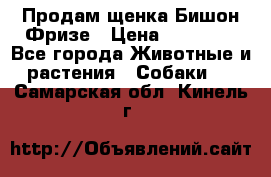 Продам щенка Бишон Фризе › Цена ­ 30 000 - Все города Животные и растения » Собаки   . Самарская обл.,Кинель г.